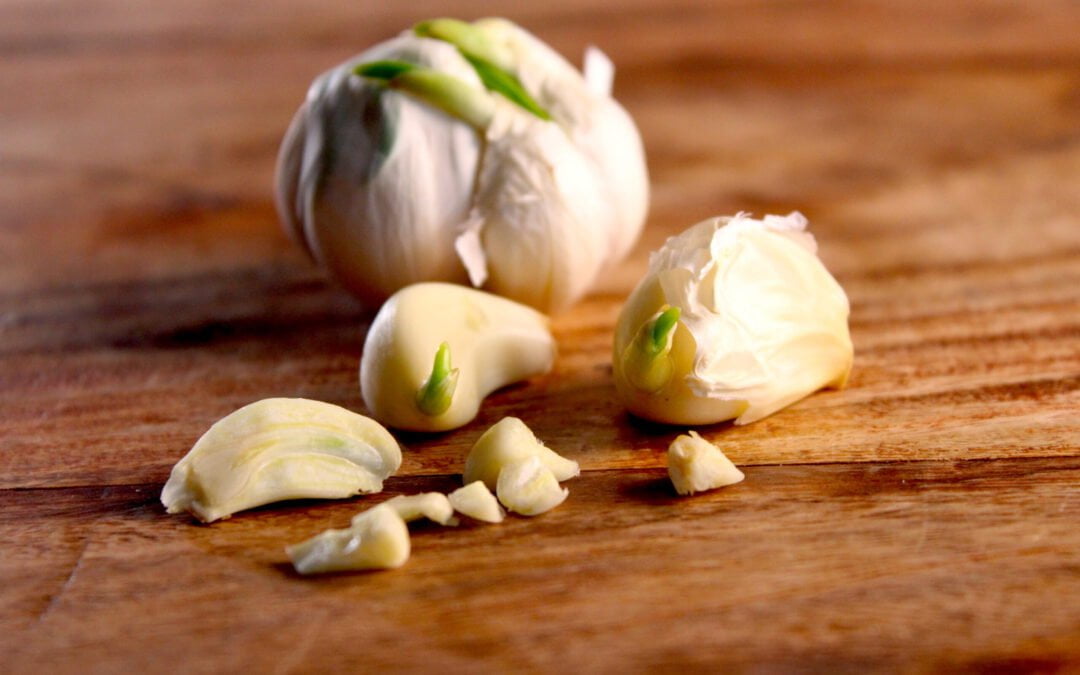 Knoflook