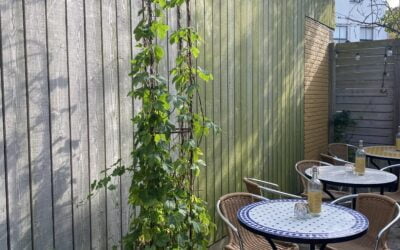 Neem ook plaats op ons fijne Mediterrane terras