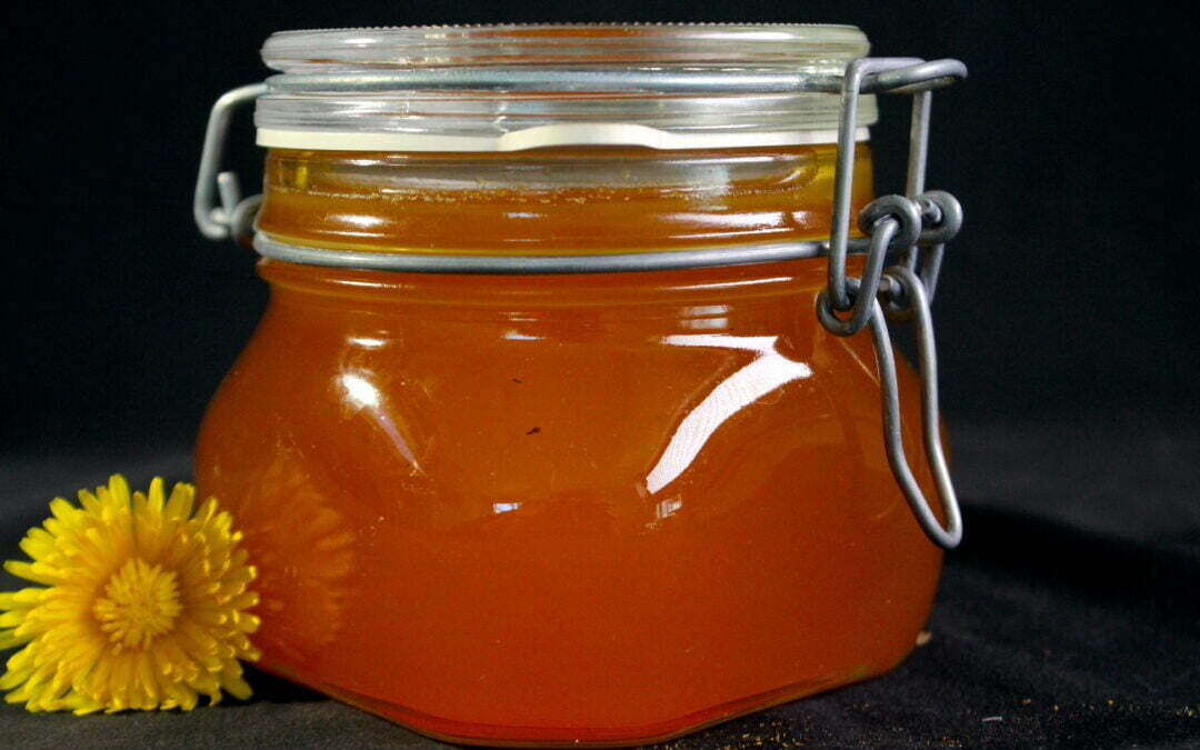 Dandelion honey or ‘miel de pisenlit’