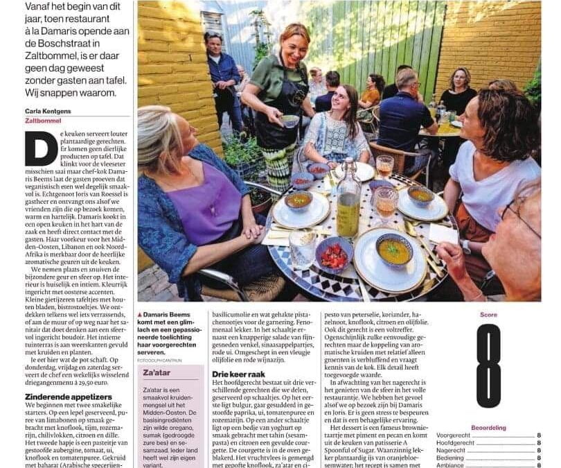 Ronkende recensie ‘Over de Tong’ in Brabants en Eindhovens Dagblad