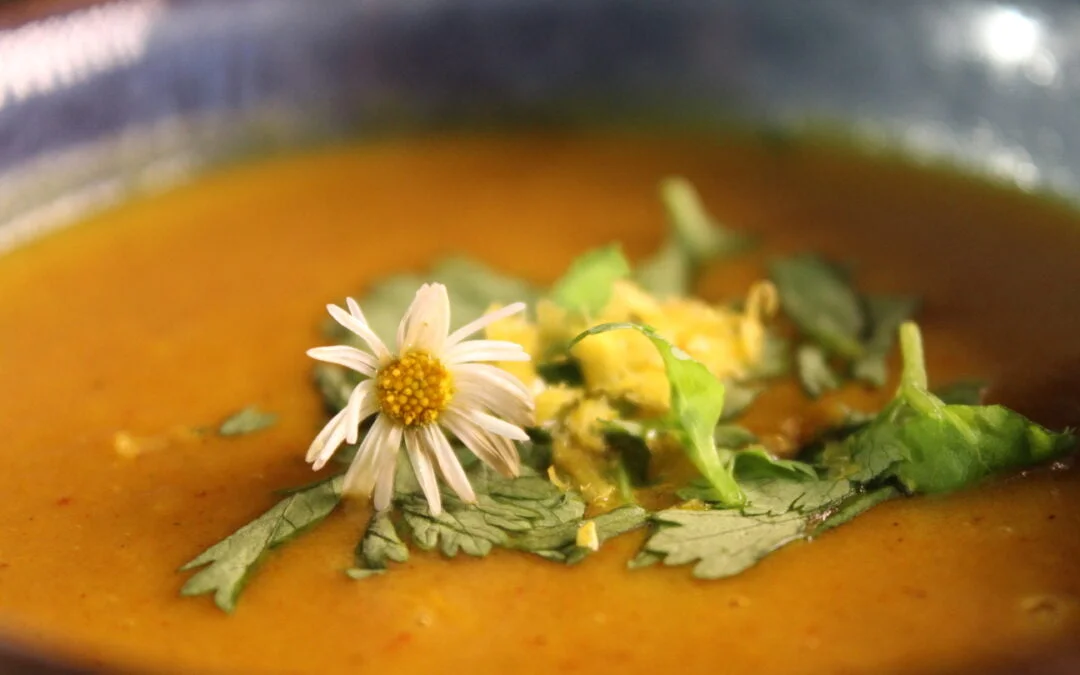 Summer Arabic zucchini soup